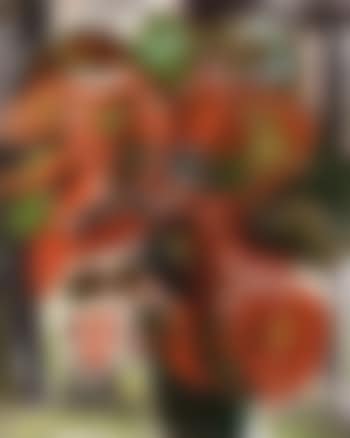 Plant by window (preview)