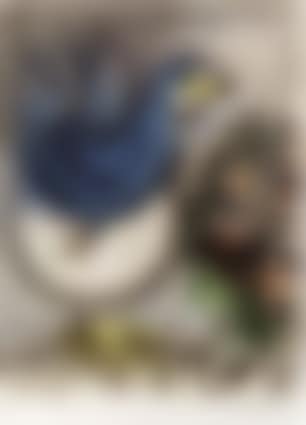 L'oiseau bleu (preview)