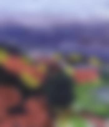 Landscape view from South Koster (preview)