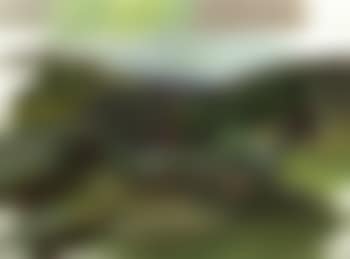 Hilly landscape with red barn (preview)