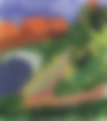 Landscape with houses, Koster (preview)