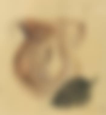 Bodegon avec pina (preview)