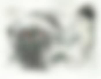 Le petit nu (preview)