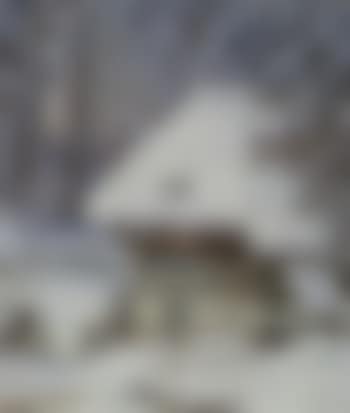 Building in snowy wood (preview)