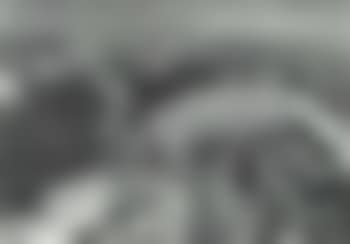 Flock of sheep in winter (preview)