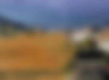 Marin landscape (preview)