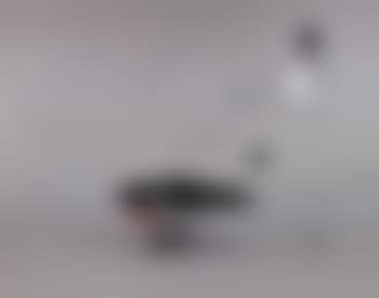 Baby flat top (preview)