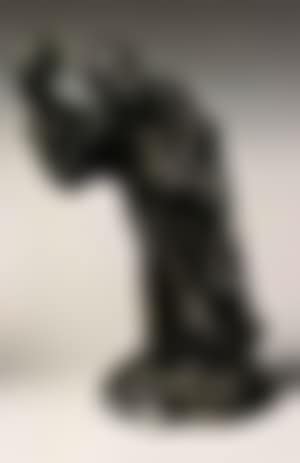 L'avocat saluant (preview)