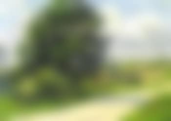 Moulineux, la route (preview)