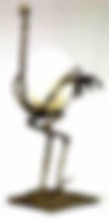 Autruche (preview)