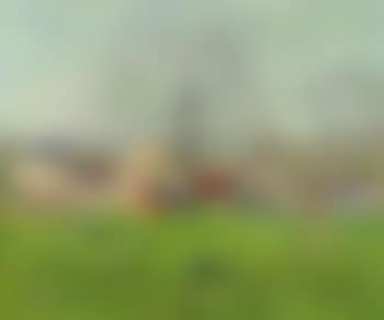 Prairie a l'entree d'un village (preview)
