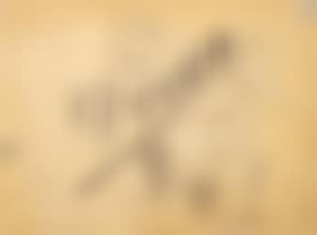 Untitled (preview)