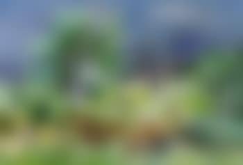 Les Baux-de-Provence (preview)