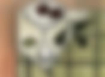 Nature morte avec poires et grenades (preview)