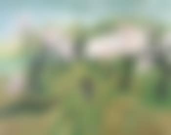 Le chemin aux amoureux (preview)