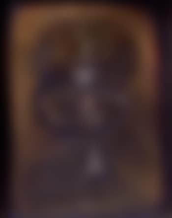 Whirling bird (preview)