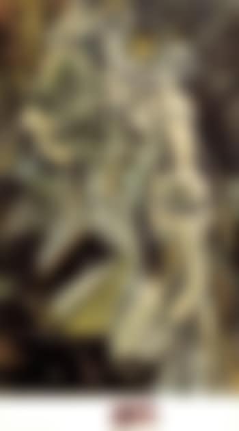 Nu descendant un escalier (preview)