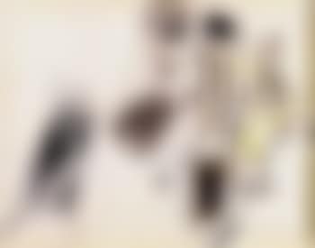 Untitled (preview)