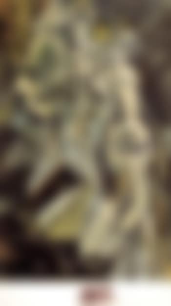 Nu descendant un escalier (preview)