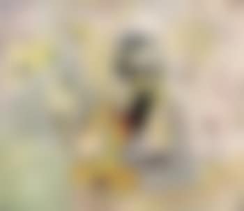 Pirate II (preview)