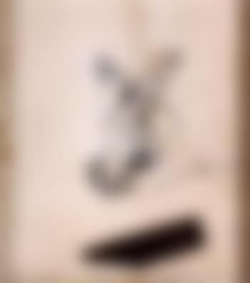 Chess Cupid with chess move (preview)