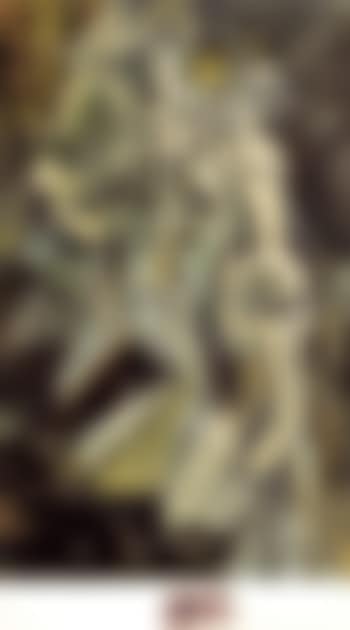 Nu descendant un escalier (preview)