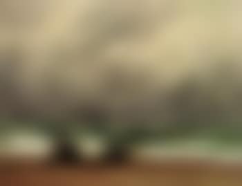 La vague (preview)