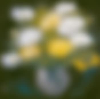 Chrysanthemum (preview)