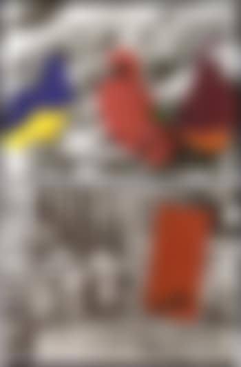Red blockage colour coded birds (preview)