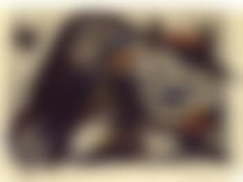 Apollo und Ampire (preview)