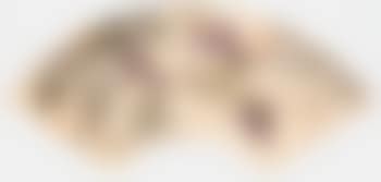 Various subjects (preview)
