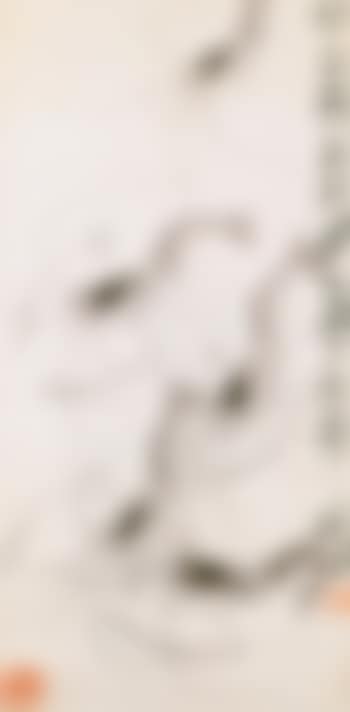 Shrimps (preview)