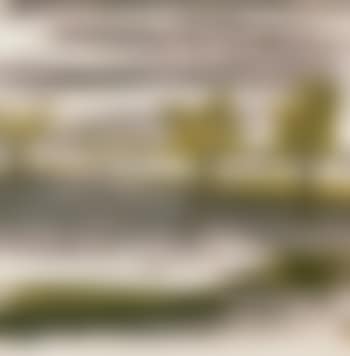 Egret flying over willow (preview)