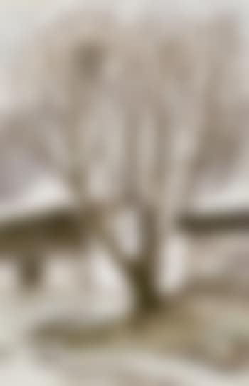 Houses behind tree (preview)