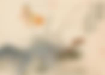 Daylily and lingzhi (preview)