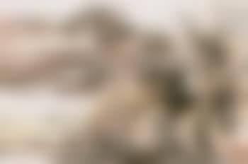 Landscapes (preview)