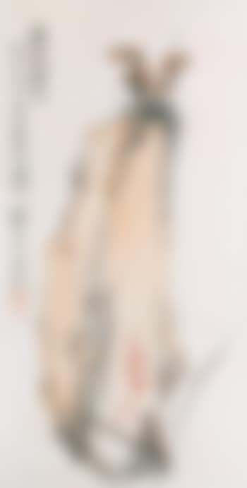 Lingzhi (preview)