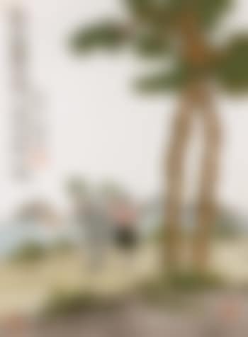 Trees and plants (preview)