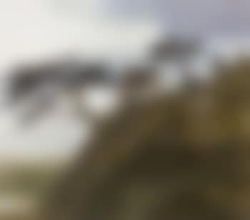 House in the cliff (preview)