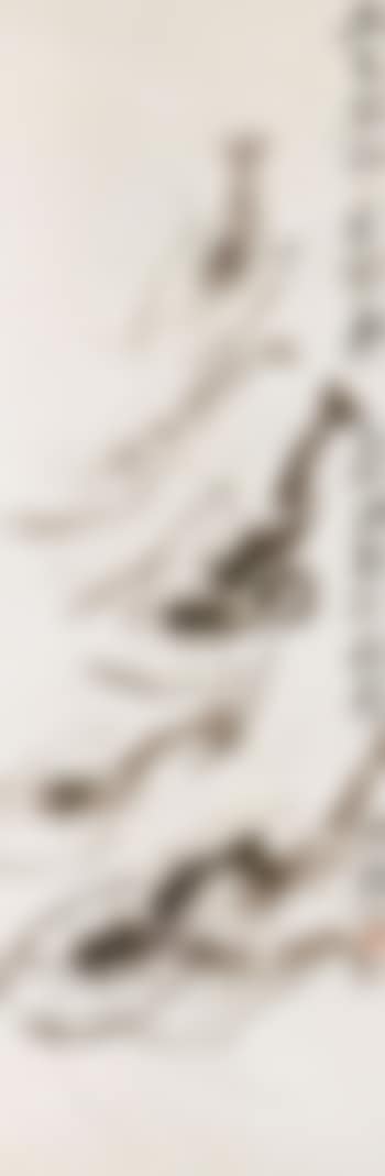 Shrimps (preview)