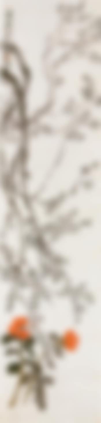 Camellia and plum blossom (preview)