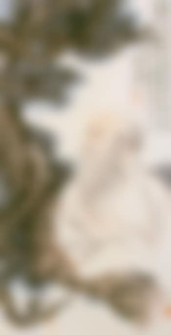Self portrait (preview)