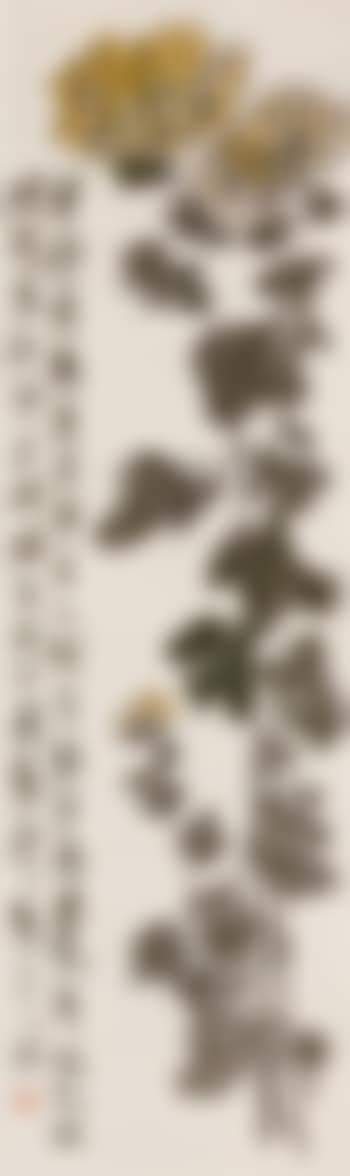 Chrysanthemum (preview)