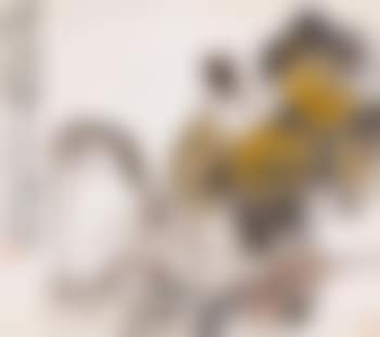 Chrysanthemum and rock (preview)