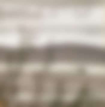Goose in the willow (preview)