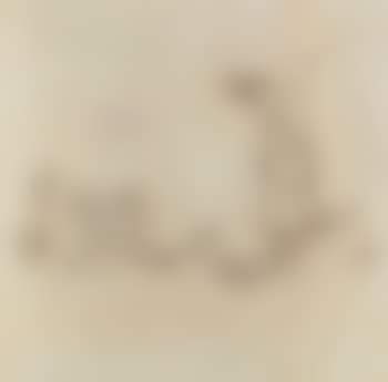 Study for mushroom painting num (preview)