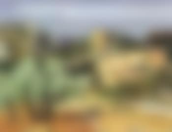 Oliviers a Fontvieille (preview)