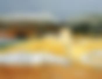 Petit mas (preview)