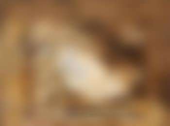 Inquiet (preview)