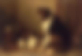 Collie with puppies (preview)